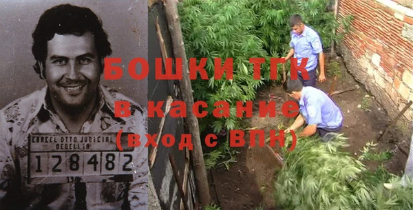 молекула духа Богородск