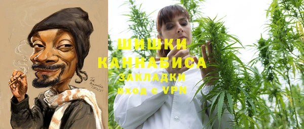 молекула духа Богородск