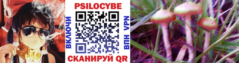 Галлюциногенные грибы Psilocybe  Купить где  Россошь 